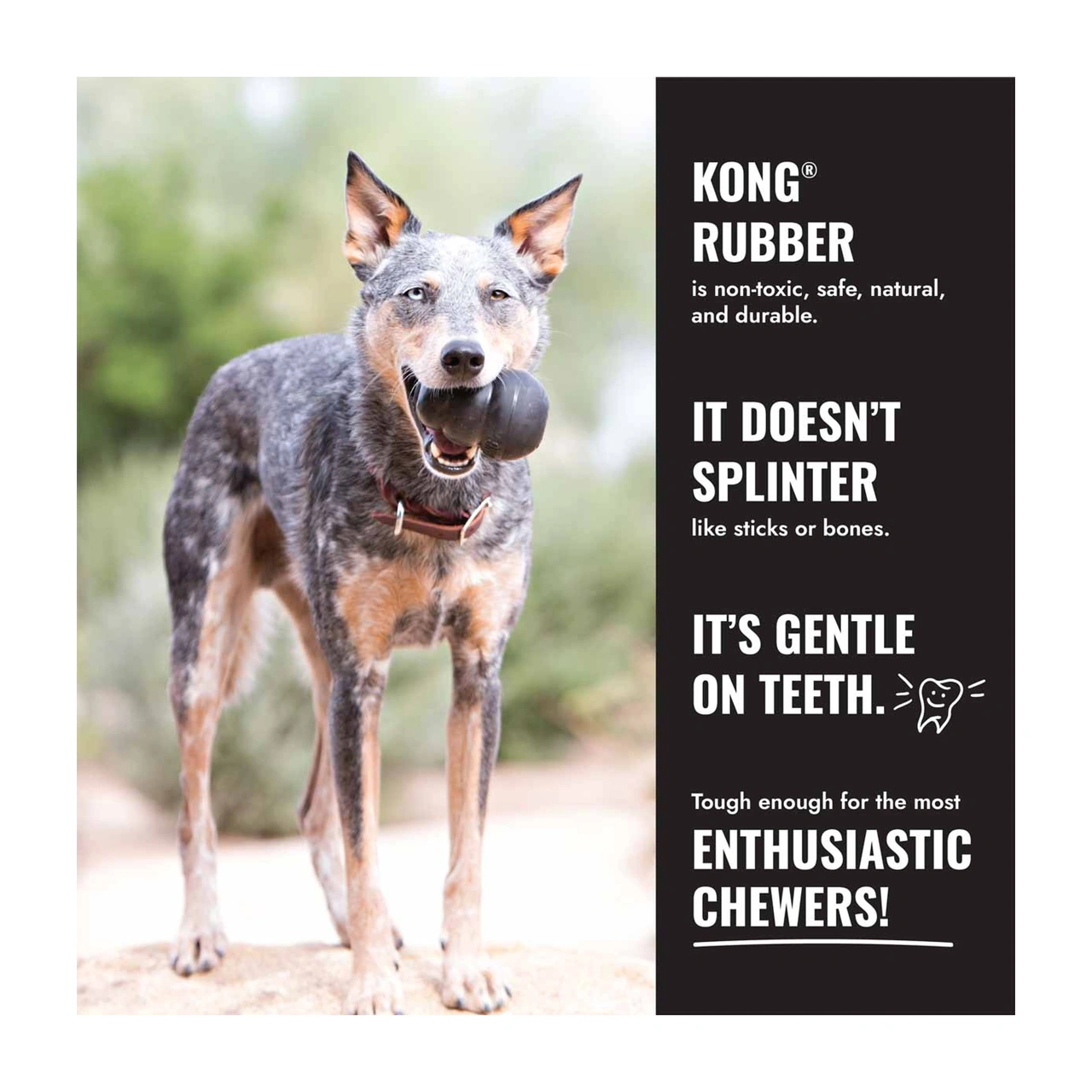 KONG Extreme Ball L Ø 8,9 cm - robust bold til power chewers